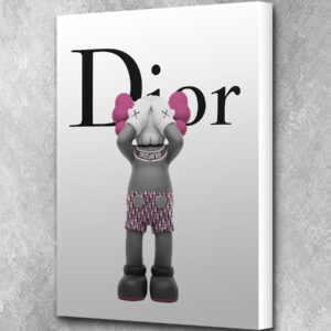 6.1 Kaws Dior (dont see) - pink