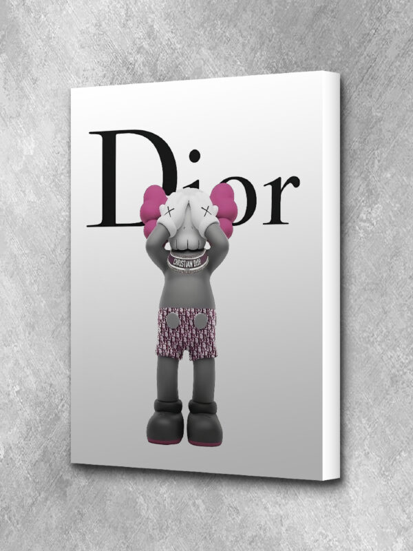 6.1 Kaws Dior (dont see) - pink